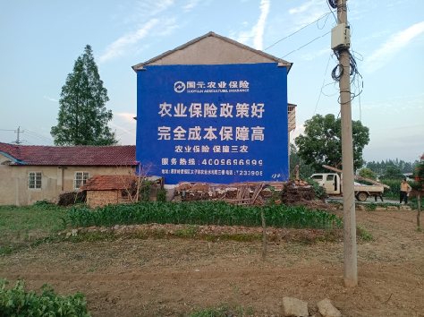 唐河墙体广告的优劣势你知道吗？